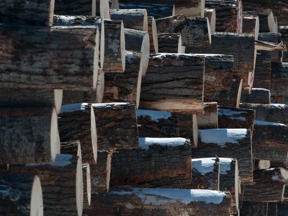 hardwood logs