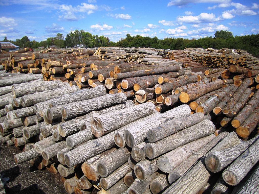 Chisholm Lumber Logs